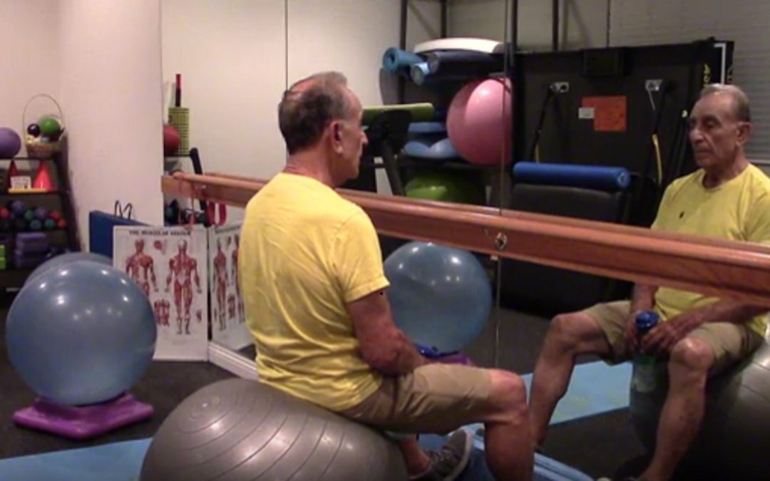 How to Choose and Use a Stability Ball – Part 2 of 3 – Stability Ball Exercises for Upper and Lower Body